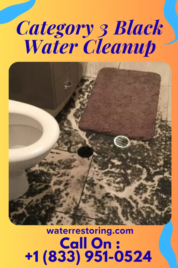 Category 3 Black Water Cleanup in Iroquois Point, HI