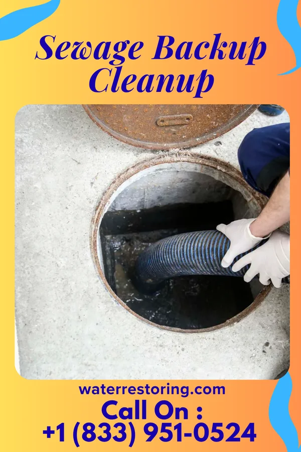 Sewage Backup Cleanup in Iroquois Point, HI